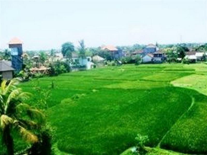 Nuriani Guest House Ubud Exterior foto